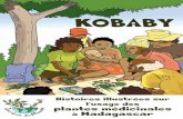 Solidarité, santé & plantes médicinales - KOBABY...En cultivant des plantes, il s’est intéressé à leurs propriétés. Il a mainte-nant beaucoup de connaissances dans le soin