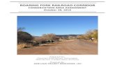 ROARING FORK RAILROAD CORRIDOR - RFTA · ROARING FORK RAILROAD CORRIDOR CONSERVATION AREA ASSESSMENT PAGE 1 OCTOBER 28, 2016 - NEWLAND PROJECT RESOURCES, INC. I. Introduction, Approach