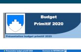 Budget Primitif 2020€¦ · Présentation budget primitif 2020 Commune de RETZWILLER Budget primitif 2020 de la commune 11 Dépenses de Fonctionnement: 1 042 890 €(+30% /2019)