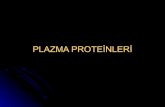 PLAZMA PROTEİNLERİ - esaglikonline.comesaglikonline.com/E-Saglik Online/Biyokimya/Plazma Proteinleri.pdf · Plazma proteinlerinin başlıca fraksiyonu olup, total proteinlerin %50-60