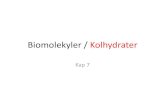 Biomolekyler / Kolhydrater - AGY Henrik Wilmar · Biomolekyler / Kolhydrater Kap 7. Kolhydraterna delas in efter byggnad i: Monosackarider (en enhet) ex. glukos Disackarider (två