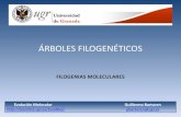 Presentación de PowerPoint - UGR · FILOGÉNIAS MOLECULARES ÁRBOLES FILOGENÉTICOS TERMINOLOGÍA Dendrograma o Árbol filogenético (Topología) Nodos -Terminales (OTUs) -Internos