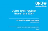¿Cómo será el “Uruguay Natural” en el 2030? · “Las finanzas verdes no pueden ser un nicho” “Los bancos centrales de la economía en desarrollo han tratado de abordar