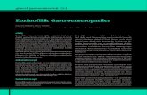 Eozinofilik Gastroenteropatiler - TGVguncel.tgv.org.tr/journal/61/pdf/100392.pdf · sak mukozası. Paraziter Hastalıklar Ascaris lumbricoides Strongyloides stercoralis Toxocara canis