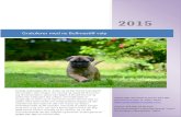 2. Norsk Hjemmeside NYbullmastiffer.weebly.com/uploads/1/4/9/3/14930154/... · Web viewNr. 2 Mat som er giftig og skadelig for hund. Nr. 3 Vann Nr. 4 Bullmastiff- en stor og tung