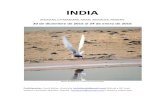 INDIA - Reservoir Birds · INDIA (RAJASTAN, UTTARAKHAND, ASSAM, ARUNACHAL PRADESH) 20 de diciembre de 2015 al 24 de enero de 2016 Black-bellied Tern (Sterna acuticauda) Participantes: