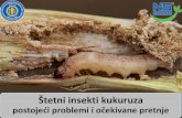 Štetni insekti kukuruza - Institut za ratarstvo i povrtarstvo, Novi Sad · 2019-12-30 · Broj gusenica 0 20 40 60 80 100 120 140 1 gusenica 2 gusenice 3 gusenice 4 gusenice 5 gusenica