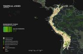 Barranquilla TROPICAL ANDESArgentina, Bolivia, Chile, Colombia, Ecuador, Peru, Venezuela 8 BIOMES Deserts & Xeric Shrublands Flooded Grasslands & Savannas Mangrove Mediterranean Forests,