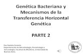 Genética Bacteriana y Mecanismos de la Transferencia Horizontal … · 2020-07-27 · Genética Bacteriana y Mecanismos de la Transferencia Horizontal Genética PARTE 2 Dra Daniela
