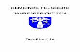 GEMEINDE FELSBERG · 2016-09-05 · Gemeinde Felsberg RÜCKBLICK UND AUSBLICK Geschätzte Stimmbürgerinnen und Stimmbürger Es freut uns, Ihnen eine erfolgreiche Rechnung 2014 präsentieren