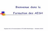 Bienvenue dans la Formation des AESHsite.ac-martinique.fr/ash/.../AESH-Formation...1-1.pdf · Bienvenue dans la Formation des AESH Equipe de la Circonscription CTR ASH Martinique