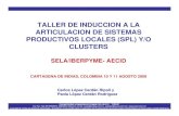 TALLER DE INDUCCION A LA ARTICULACION DE SISTEMAS ...iberpyme.sela.org/Cartagena0809/TALLERCLUSTERS.pdf · TALLER DE INDUCCION A LA ARTICULACION DE SISTEMAS PRODUCTIVOS LOCALES (SPL)