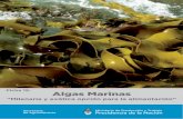 Ficha 15: Algas Marinas - Alimentos ArgentinosLas algas frescas, luego de haber sido lavadas, se disponen en asaderas para secarlas al horno con la puerta abierta hasta que estén