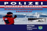 PZ - Polizei NOE_… · Geburtstagswünsche an die LHF 51 POLIZEI NIEDERÖSTERREICH 1. Geschätzte Kolleginnen und Kollegen, liebe Mitarbeiterinnen terium, den Landespolizeidirektio