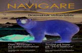 NAVIGARENAVIGARE 1 - 2010 3 Tryggleiken er viktigast Noreg er ein av dei største skipsfartsna sjonane i verda. Det gir oss tyngde når internasjonalt regelverk skal formast. Sjøfartsdirektoratet
