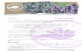 ラベンダー by Salvatore Battaglia - MakeShopgigaplus.makeshop.jp/.../02/discover/lavendermonograph_J.pdf©Salvatore Battaglia 2016 Page 1 ラベンダー by Salvatore Battaglia