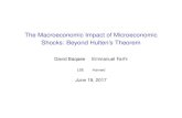 The Macroeconomic Impact of Microeconomic Shocks: Beyond ... · Macroeconomic Impact of Shocks For economy with efﬁcient equilibrium, Hulten (1978): dlogC=dlogAi = salesi=GDP =