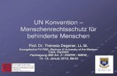 UN Konvention – Menschenrechtsschutz für behinderte Menschen vortrag 15-1-s.pdf · 2019-06-03 · UN Konvention – Menschenrechtsschutz für behinderte Menschen Prof. Dr. Theresia
