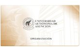 Organigrama UAA 2019 · Organización Académica Organización Administrativa . Auditoría CONSEJO SUPERIOR UNIVERSITARIO . RECTOR . Unidades De Apoyo . Secretaría General