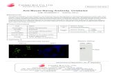 Anti Mouse-Nanog Antibody, Unlabeledsearch.cosmobio.co.jp/cosmo_search_p/search_gate2/docs/...2011/11/25  · Research Use Only Anti Mouse-Nanog Antibody, Unlabeled Cat# RCAB0002P-F,