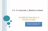 U1: Evolución y Biodiversidad · EVIDENCIAS DE LA EVOLUCIÓN Las evidencias evolutivas nos presentan los cambios que han experimentado los seres vivos a través del tiempo . Para