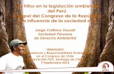 Los hitos en la legislación ambiental del Perú El papel ... · Congreso de Perú La citada Ley de Transparencia y Acceso a la Información Pública excluye expresamente al Congreso