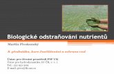 Prezentace aplikace PowerPoint - webzdarma · přednáška – Biologické odstraňováni nutrientů Pivokonský, PřF UK, 2016/17 . Nitrifikace oxidace amoniakálního dusíku probíhající