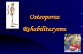 Osteoporoz Rehabilitasyonuesaglikonline.com/E-Saglik Online/Fizyoterapi... · OSTEOPOROZ Kemik kitlesinde azalma, kemik mikroyapısında bozulma sonucu kemik kırılganlığının