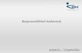 Responsabilidad Ambiental.amis.org.mx/.../Archivos/responsabilidadcivilambiental.pdf · 2014-05-12 · La Responsabilidad Ambiental que nace de los daños ocasionados al ambiente,