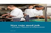 Nye veje mod job - bm.dk · Kan hentes på bm.dk År: 2015 ISBN til tryk: 978-87-91892-23-3 ISBN til web: 978-87-91892-24-0. Nye veje mod job – for borgere i udkanten af arbejdsmarkedet.