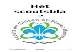 Scouts Hamme€¦ · Web viewGELUKKIG NIEUWJAAR!! Jammer jammer jammer ! Vandaag is het geen scouts. 8 Januari 2017 Vandaag spelen we het super zalige JONGGIVER STADSPEL te SINT-NIKLAAS.