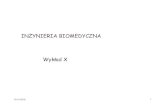 INŻYNIERIA BIOMEDYCZNA Wykład Xhome.agh.edu.pl/~radecka/doc/IB_wykX_18.pdf · 2018-12-15 · Wykład X. 16.12.2018 2 Dualizm korpuskularno-falowy (de Broglie’a) Zasada nieoznaczoności