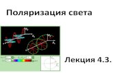 Поляризация светакурс-физики-всгуту.рф/docs/presentation/vaganova/Лекция 4.3... · Поляризация •явление выделения
