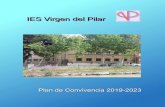 IES Virgen del Pilar · IES Virgen del Pilar. Plan de Convivencia 2019-2023 2.2. Observatorio de Centro en Convivencia e Igualdad 1. En el Observatorio de Centro en Convivencia e