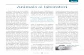 Apunt Editorial La Portada Animals al laboratori · l’experimentació animal és renunciar a la medicina actual, als seus ... Hem d’entendre que, ara per ara, la nostra medicina
