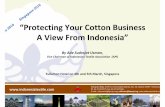 S 2 0 1 0 g a p o r e S i n r e2 0 1 0 “Protecting Your Cotton … · 2020-05-07 · Source: BPS, Preliminary Estimation by API SB2011/ASH Prediction of Indonesia Textile & Textile
