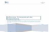 Informe Trimestral de Coyuntura Trimestral de...Informe Trimestral de Coyuntura es una publicación de la Cámara Fueguina de la Industria Nacional – CAFIN – Esmeralda 315, piso