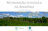 RESTAURAÇÃO ECOLÓGICA NA AMAZÔNIA · 0 5.000 10.000 15.000 20.000 25.000) Restauração Ecológica SAF Silvicultura Tropical. I. NICIATIVAS DE RESTAURAÇÃO MAPEADAS. ea (ha)