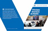 Principes directeurs de Madrid - United Nationsdu Conseil de sécurité, cette publication réunit la totalité des 35 Principes directeurs de Madrid en un guide pratique à l’attention