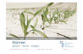 Dr. Paul Becker Vizepräsident Deutscher Wetterdienst Dürren · 2016-02-12 · Deutsches Klima-Konsortium e. V. (DKK) Dürren –gestern –heute -morgen 11.02.2016 Dürre –Was