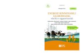 Giuseppe Zicari l'autore ENERGIE RINNOVABILI DA BIOMASSE: ENERGIE RINNOVABILI … · 2016-05-30 · Giuseppe Zicari Energie rinnovabili da biomasse: rischi e opportunità Coltivazioni,