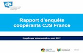 Rapport d’évaluation CJS Franceªte... · animateurs et/ou les comités locaux à la fin de la saison 2017, durant la seconde • Questionnaire conçu avec l’appui du bureau