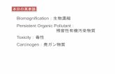 Biomagnification：生物濃縮 Persistent Organic Pollutant ...matse.u-fukui.ac.jp/~suzuki/koushiki/env2014_13.pdfBiomagnification：生物濃縮! Persistent Organic Pollutant：!
