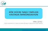 KÖK HÜRE NAKLİ YAPILAN HASTADA İMMÜNİZASYON · 2014-12-14 · Kızamık , Kabakulak ve Kızamıkçık Aşıları (MMR) anlı aşı (yetişkin+çocuk+adölesan) Atenüe aşı