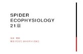 SPIDER ECOPHYSIOLOGY 21章 - Coocanspider.art.coocan.jp/studycenter/pdffiles/spiderecophysiology21.pdf · SPIDER ECOPHYSIOLOGY 21章 ... The most commonly encountered spider orb-webs