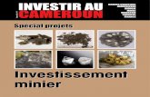 Investissement minier - Investir au Cameroun · exploré qu’à 40%. Une diversité de minerais qui pourrait mettre les in-vestisseurs dans l’embarras. Je saisis donc l’occasion
