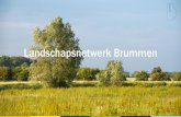 Landschapsnetwerk Brummen...Hoe kunnen zonneparken een agrarier op weg helpen naar een natuurinclusief bedrijf? Hoe kunnen zonneparken de groene infrastructuur van het landschap voor