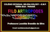 Professora Leonilda Brandão da Silva · 2018-11-09 · EXOESQUELETO •O corpo dos artrópodes é revestido por um exoesqueleto formado de quitina, associado a proteínas. •Nos