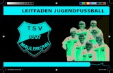 LEITFADEN JUGENDFUSSBALL - Badischer Fußballverband e.V....TSV Maulbronn 1897 e.V. Abteilung Jugendfußball Willy-Schenk-Straße 11 75433 Maulbronn ... Jedes Training bedeutet die