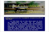 Analgésie acupuncturale au vietnam lille/tai thu1.pdf · Prof. Nguyen Tai Thu Directeur de l’Institut national d’acupuncture Président de l’Association nationale d’acupuncture